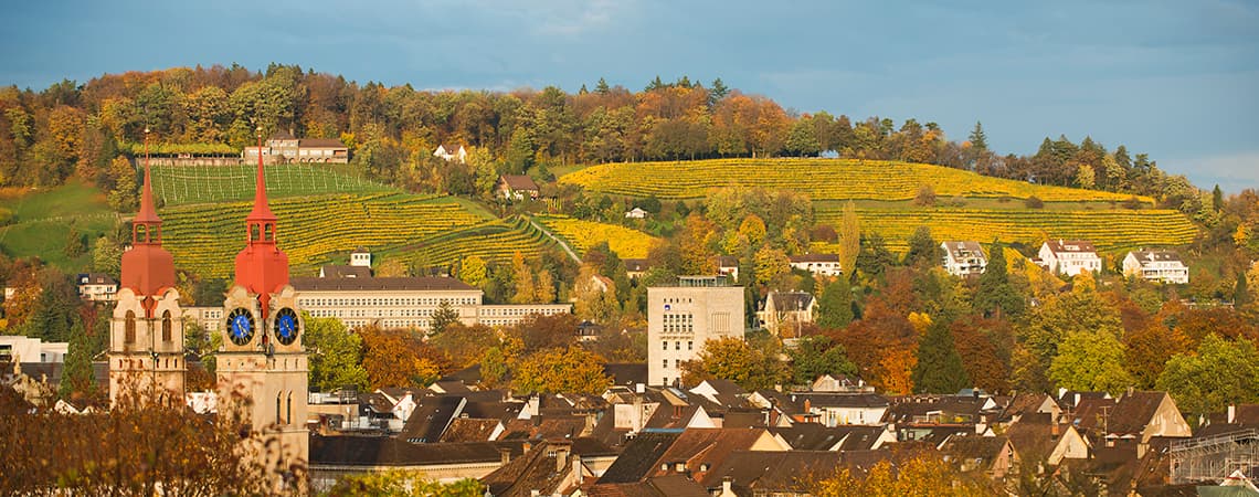 Reblehrpfad Goldenberg