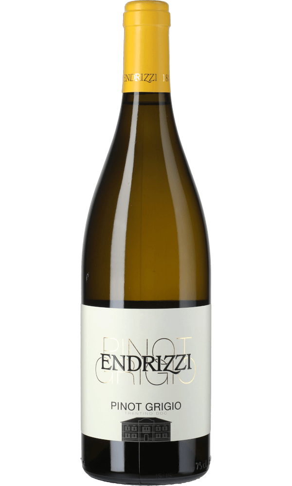 Endrizzi Pinot Grigio Trentino DOC 2022
