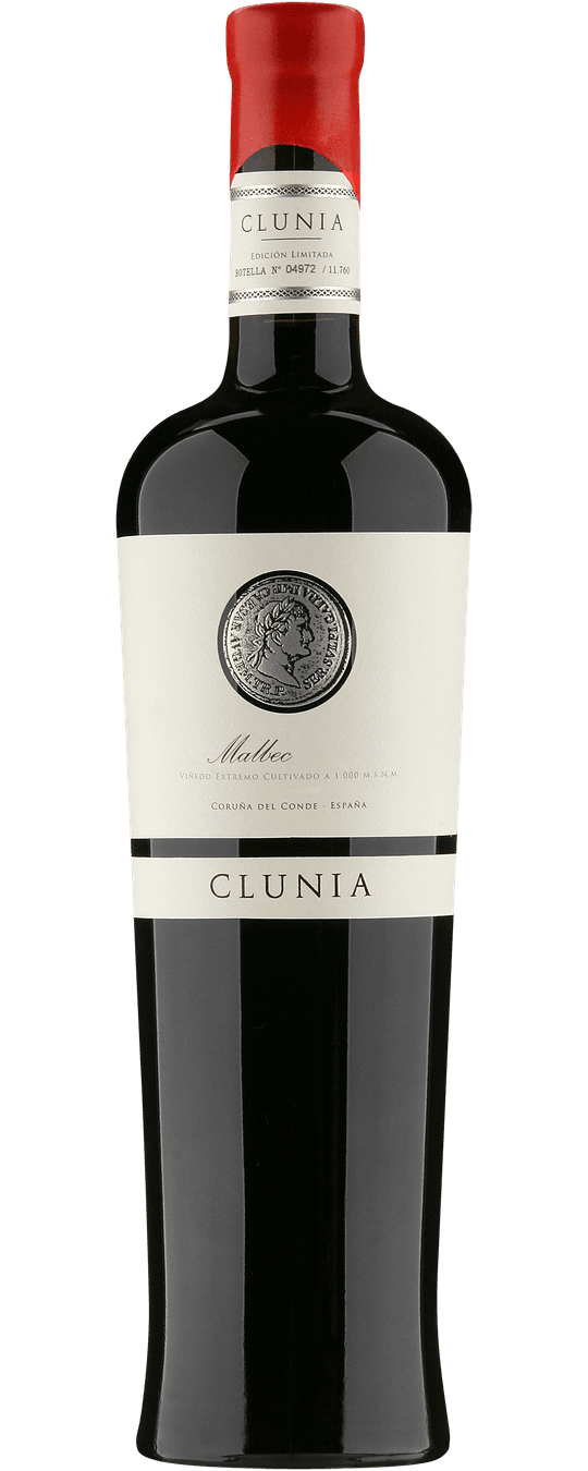 Malbec Castilla y León VdT